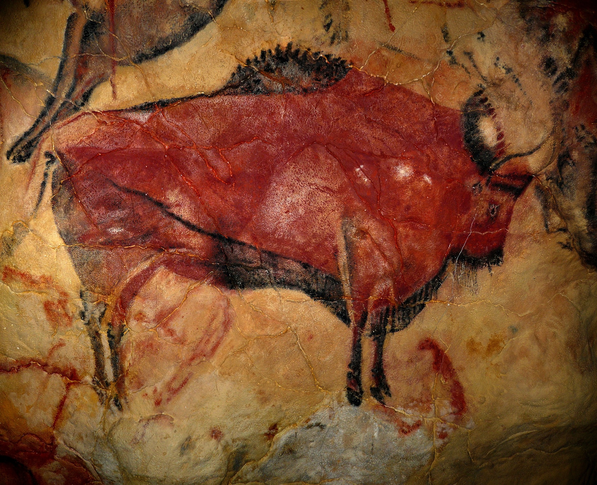 bison-1171794_1920